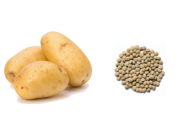 lentil and potato