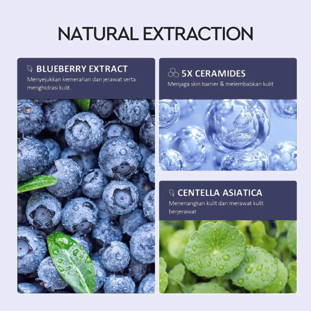 A natural extraction cosmetic ingredient panel detailing the active skin care benefits of Blueberry Extract, 5X Ceramides for skin barrier protection, and Centella Asiatica for soothing acne.