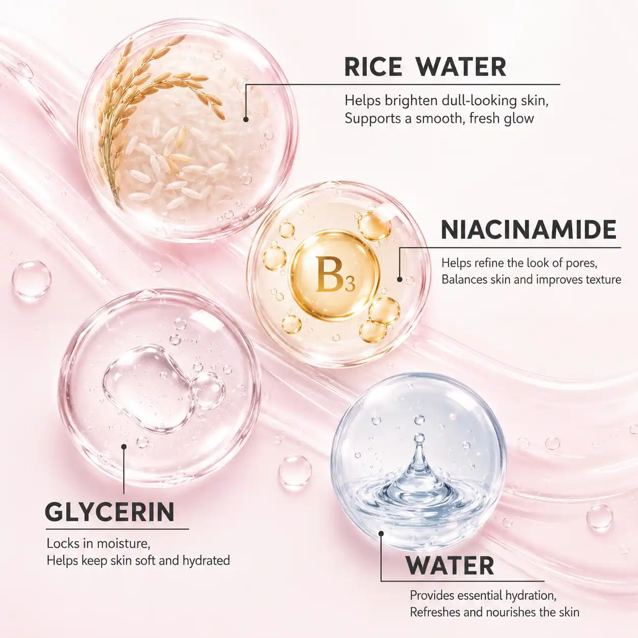 Skincare ingredients infographic detailing the benefits of Rice Water for brightening dull skin Niacinamide Vitamin B3 for refining pores Glycerin for locking in moisture and Water for essential hydration.